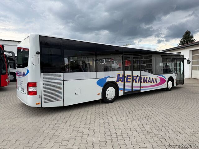 Autobús urbano MAN A 20 / Lions City Ü  / Euro 6  / KLIMA