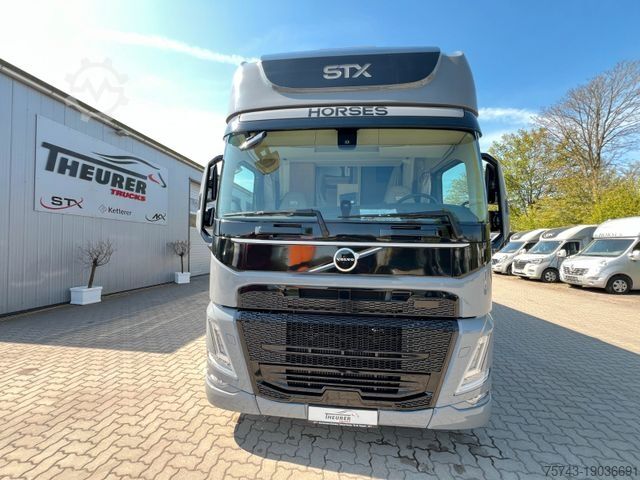 Cattle truck VOLVO FM 430 STX 6 Pferde Pop-Out, Pop-UP, Küche unten
