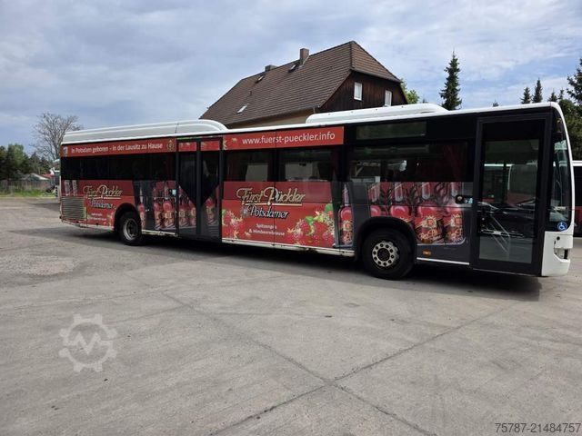 Meziměstský autobus MERCEDES-BENZ Citaro O530 LE, Gurten,  Armlehnen, Gardinen