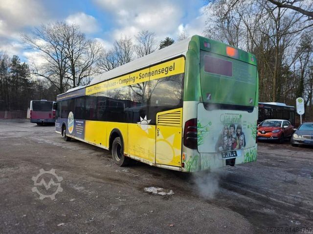 Meziměstský autobus MERCEDES-BENZ Citaro O530 LE, Gurten,  Armlehnen, Gardinen