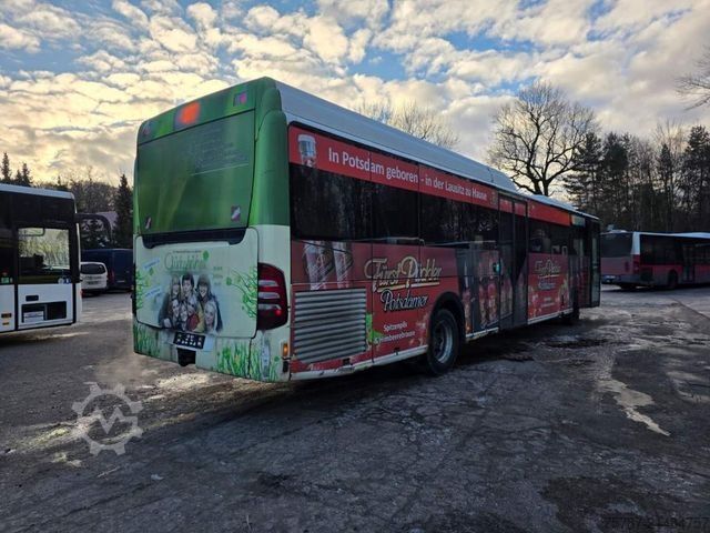 Meziměstský autobus MERCEDES-BENZ Citaro O530 LE, Gurten,  Armlehnen, Gardinen