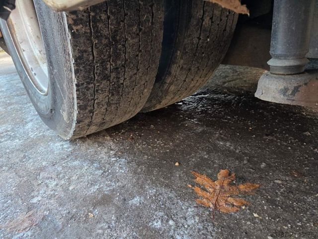 Meziměstský autobus MERCEDES-BENZ Citaro O530 LE, Gurten,  Armlehnen, Gardinen