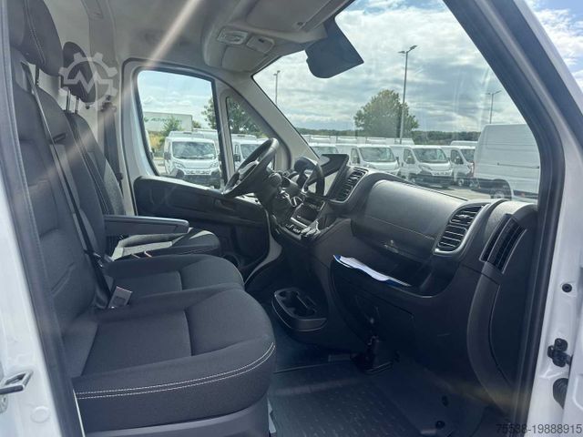 Panelvan Fiat Ducato