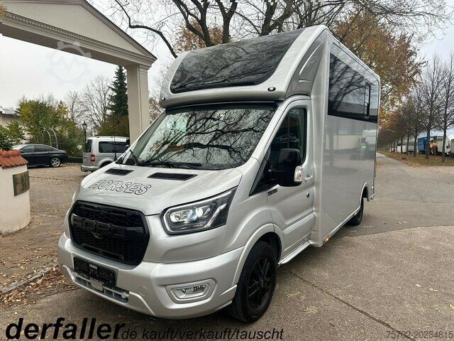 Veetransporter Ford Transit 1-2 Pferde Hengsttrennung