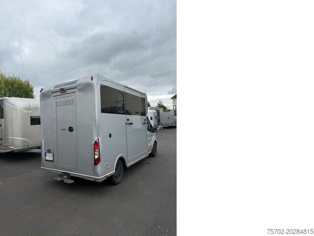 Camión de ganado Ford Transit 1-2 Pferde Hengsttrennung