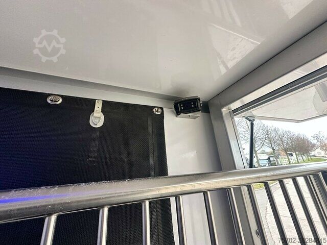 Veetransporter Ford Transit 1-2 Pferde Hengsttrennung