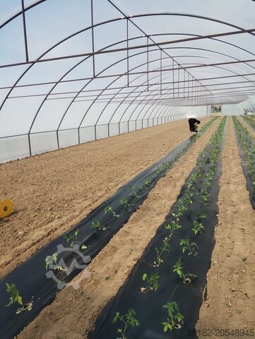 Utilaj agricol solariu Agroozi Solariu pentru  productie legume