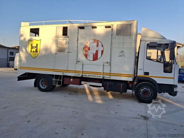 Viehtransporter IVECO EUROCARGO 120EL 18  TRASPORTO CAVALLI