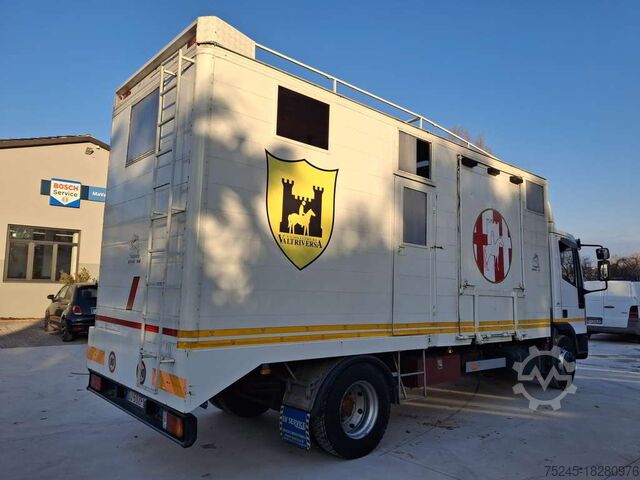 Viehtransporter IVECO EUROCARGO 120EL 18  TRASPORTO CAVALLI