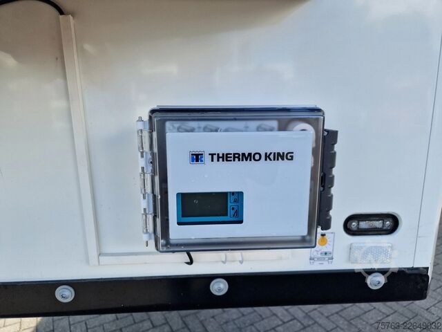 Μεταφορά σε ψύξη/κατάψυξη Schmitz Cargobull NEW - SKO 24 Thermoking SLXi 300 Frigo - Hooks/...