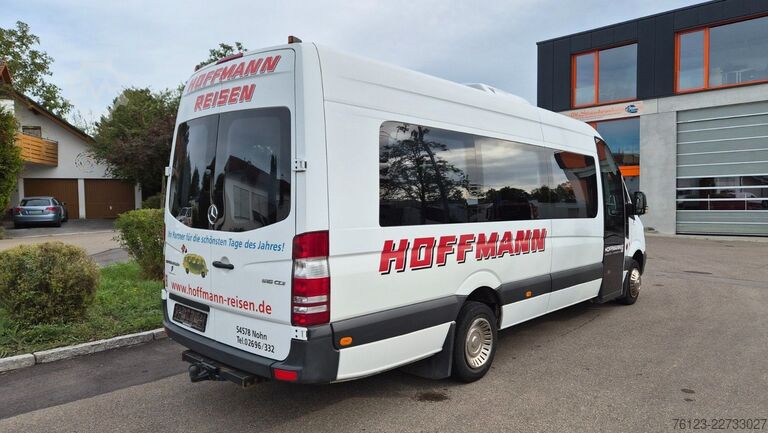 Minibus MERCEDES-BENZ Sprinter 516, Daily, Crafter