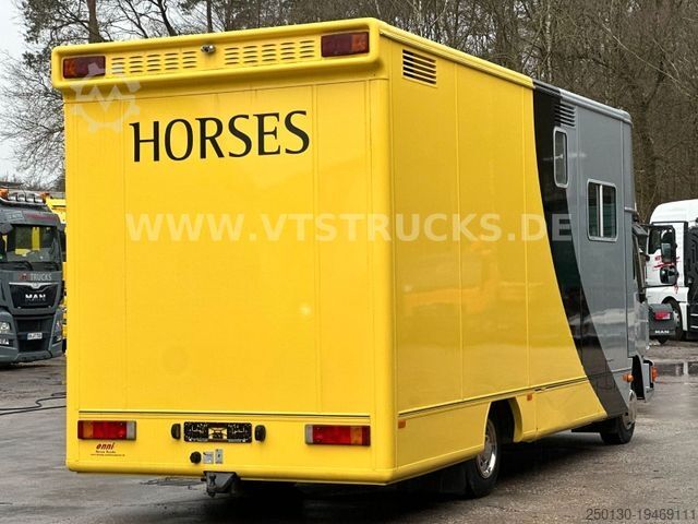 Viehtransporter LKW MAN Niehoff Pferdeaufbau mit Wohnabteil
