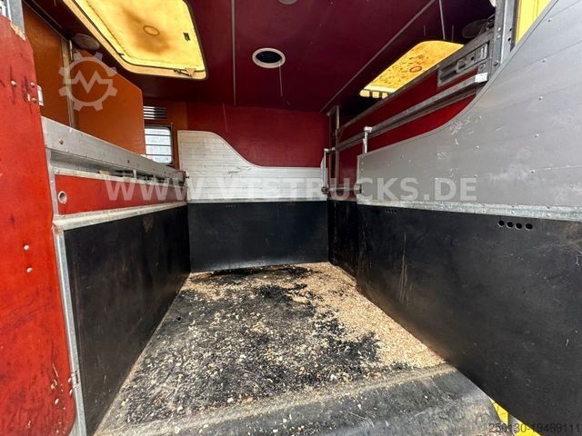 Viehtransporter LKW MAN Niehoff Pferdeaufbau mit Wohnabteil
