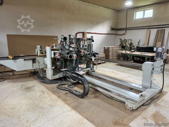 Dubbele kopse vlakschaafmachine CELASCHI TSA300DS