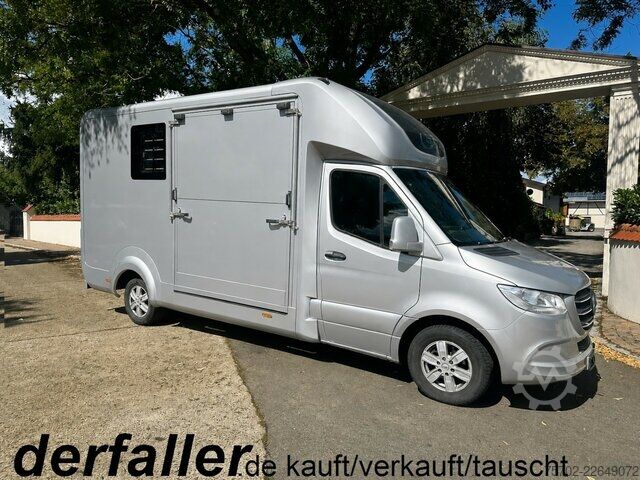 Van Mercedes-Benz Sprinter 319 STX 1-2 Pferde Hengsttrennung
