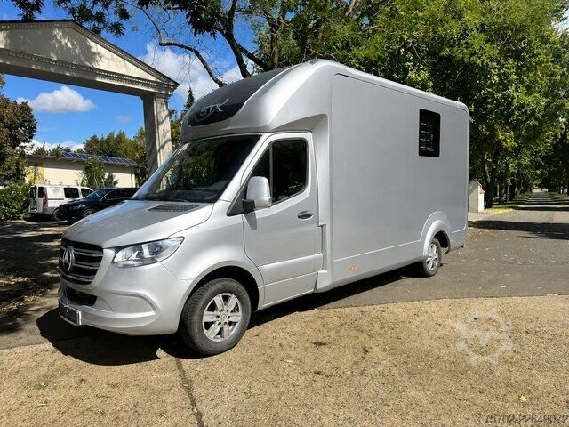 Van Mercedes-Benz Sprinter 319 STX 1-2 Pferde Hengsttrennung