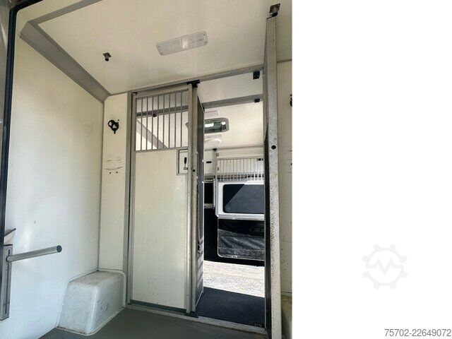 Van Mercedes-Benz Sprinter 319 STX 1-2 Pferde Hengsttrennung