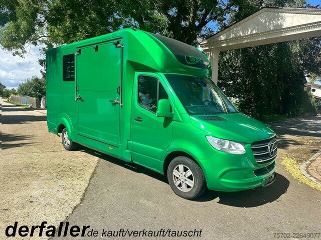 Van Mercedes-Benz Sprinter 319 STX 1-2 Pferde Hengsttrennung