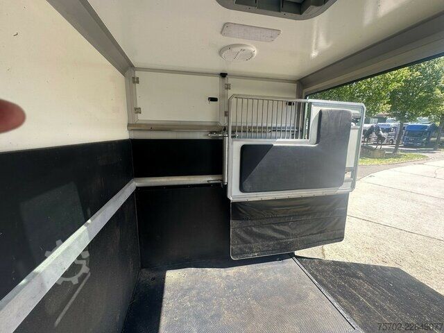 Van Mercedes-Benz Sprinter 319 STX 1-2 Pferde Hengsttrennung