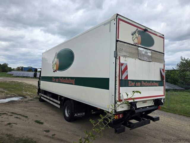 Skåpbil DAF LF 260 Koffer 14 Tonner, LK,BW, Rückfahrkamera