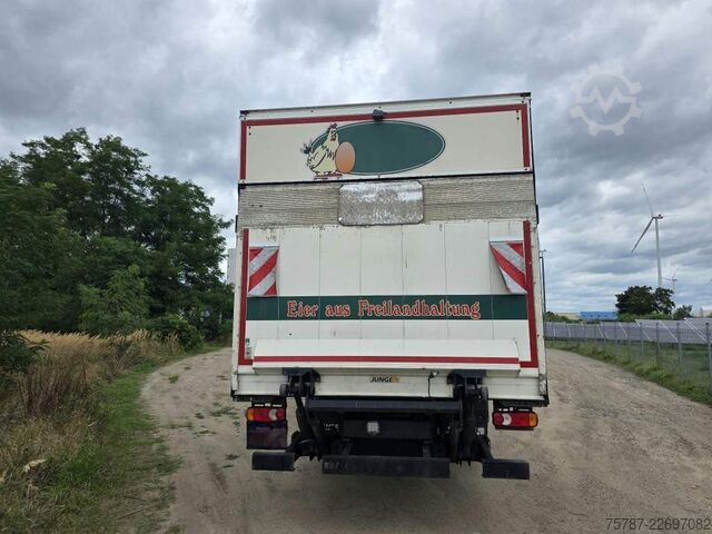 Skåpbil DAF LF 260 Koffer 14 Tonner, LK,BW, Rückfahrkamera