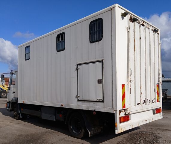 Pferdetransporter MAN 8153 PAARDENVRACHTWAGEN