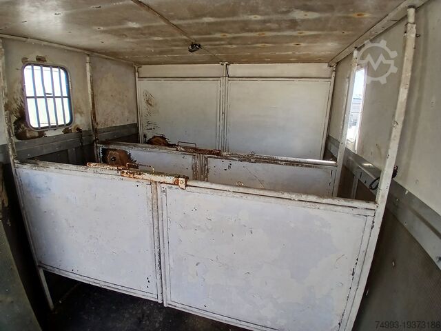 Hestevogn MAN 8153 PAARDENVRACHTWAGEN