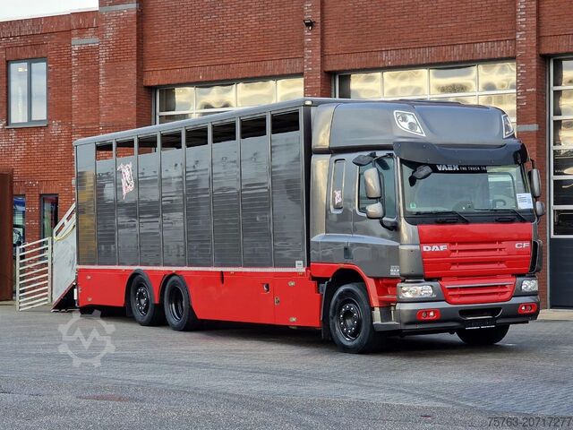 Cattle transport DAF CF 360 SpaceCab 6x2*4 - Menke Janzen Livestock ...