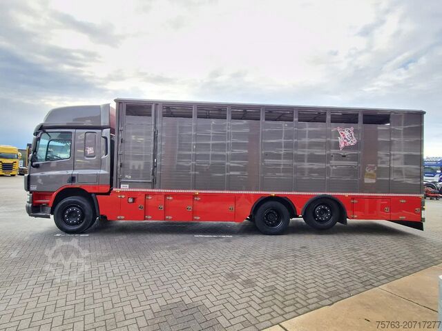 Cattle transport DAF CF 360 SpaceCab 6x2*4 - Menke Janzen Livestock ...