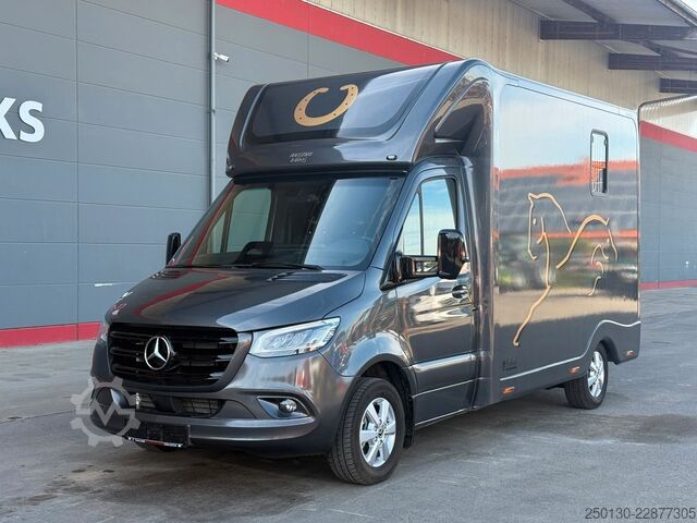 Prevoznik stoke MERCEDES-BENZ SODIAK HORSE 2 Pferde Luxus Sprinter
