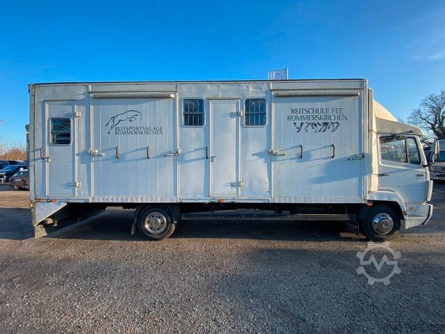 Livestock transporter MERCEDES-BENZ 814 4 Pferde