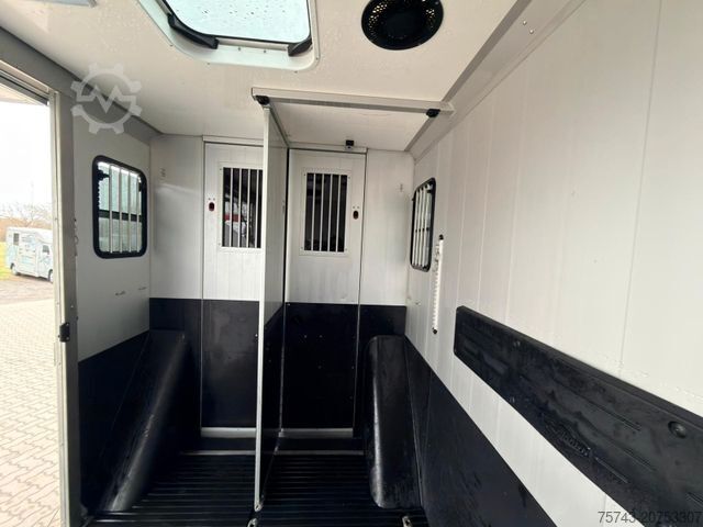 Veetransporter FIAT Ducato EXKLUSIVE Hengstmodel