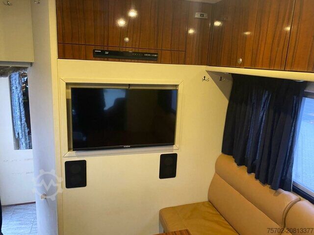 Samochód do przewozu bydła MAN TGS 26480 5 Pferde und Wohnung