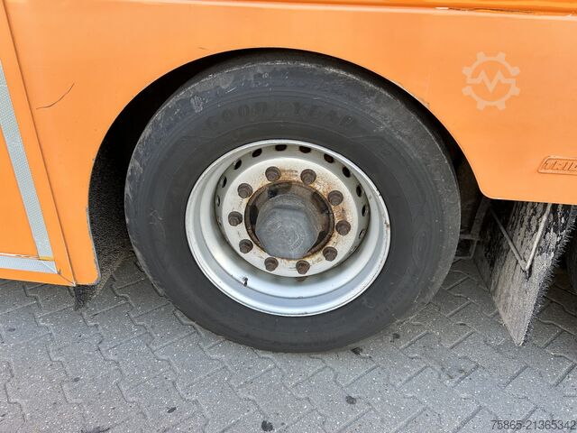 Koffer Burgers 0 DGPL / Double Stock / Race Trailer / Box / Bi...