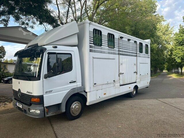 Furgon Mercedes-Benz 817 2-4 Pferde