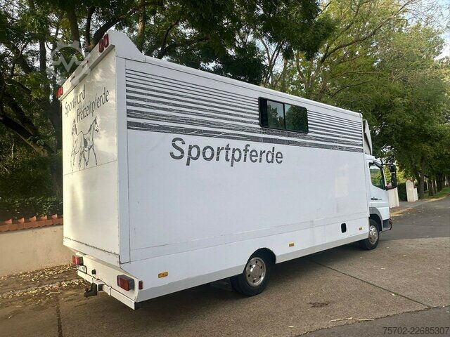 Furgon Mercedes-Benz 817 2-4 Pferde