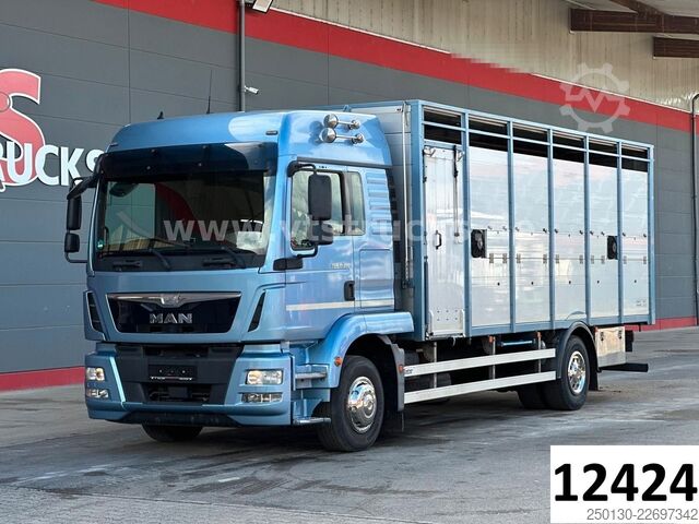 Camião para gado MAN TGM 15.290 1 Stock Köstner Viehaufbau