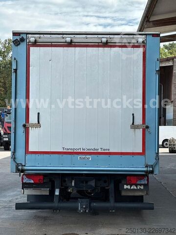 Camião para gado MAN TGM 15.290 1 Stock Köstner Viehaufbau