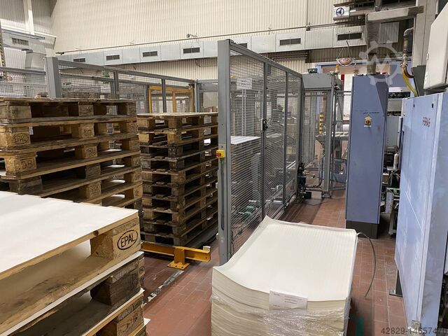 Stangenausleger mit Palettierer RECMI HD 1200