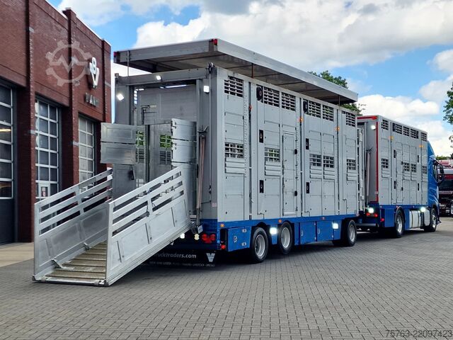 Szarvasmarha-szállítás Volvo FH 13.460 - Menke Livestock + trailer - 3 stock...
