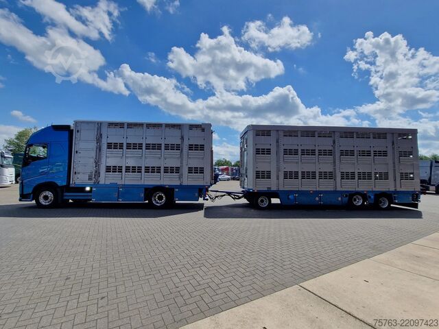 Szarvasmarha-szállítás Volvo FH 13.460 - Menke Livestock + trailer - 3 stock...