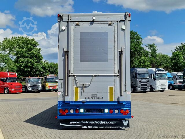 Szarvasmarha-szállítás Volvo FH 13.460 - Menke Livestock + trailer - 3 stock...