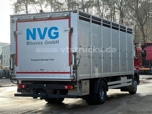 Kreaturvogn DAF LF 280 4x2 BL 1.Stock Viehwagen ACC LDW CAM