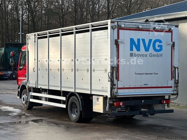 Kreaturvogn DAF LF 280 4x2 BL 1.Stock Viehwagen ACC LDW CAM