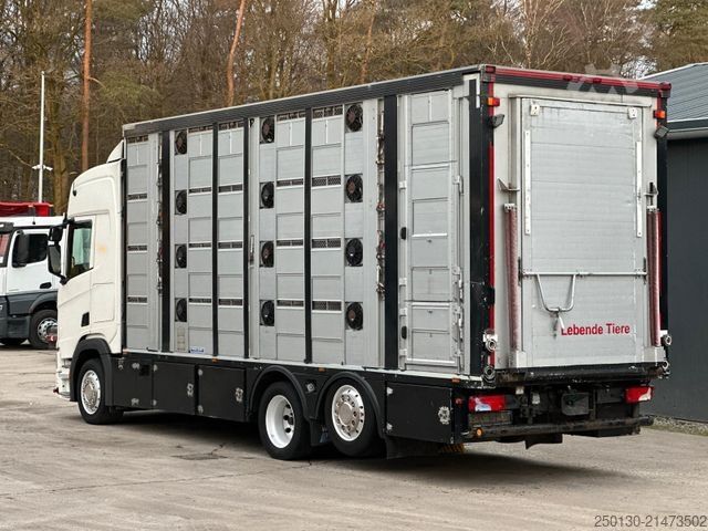 Boskapsbil SCANIA R500 6x2/4 LL 4.Stock Menke Tränke Hubdach