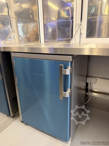 Negozio Mobile Renault Food Truck, Imbisswagen, NEU, REDUZIERT