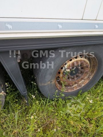 Reefer semitrailer SCHMITZ CARGOBULL Frigo Thermo King / Multi Temp / DS