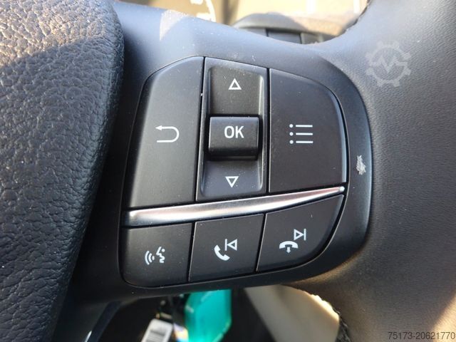 Wywrotka dostawcza FORD Transit 350L3 EinzelKab Kipper Winterd. Schild