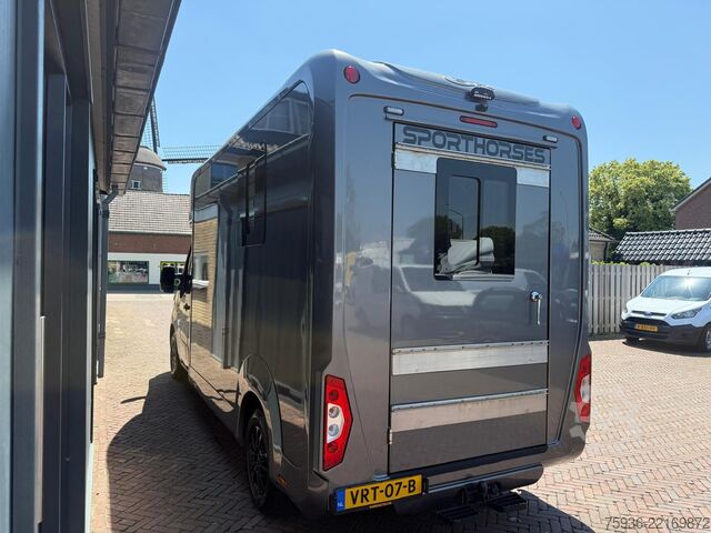 Lószállítás Renault Master STX S3 Paardenwagen Hengsten uitvoering ...