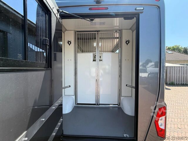 Lószállítás Renault Master STX S3 Paardenwagen Hengsten uitvoering ...